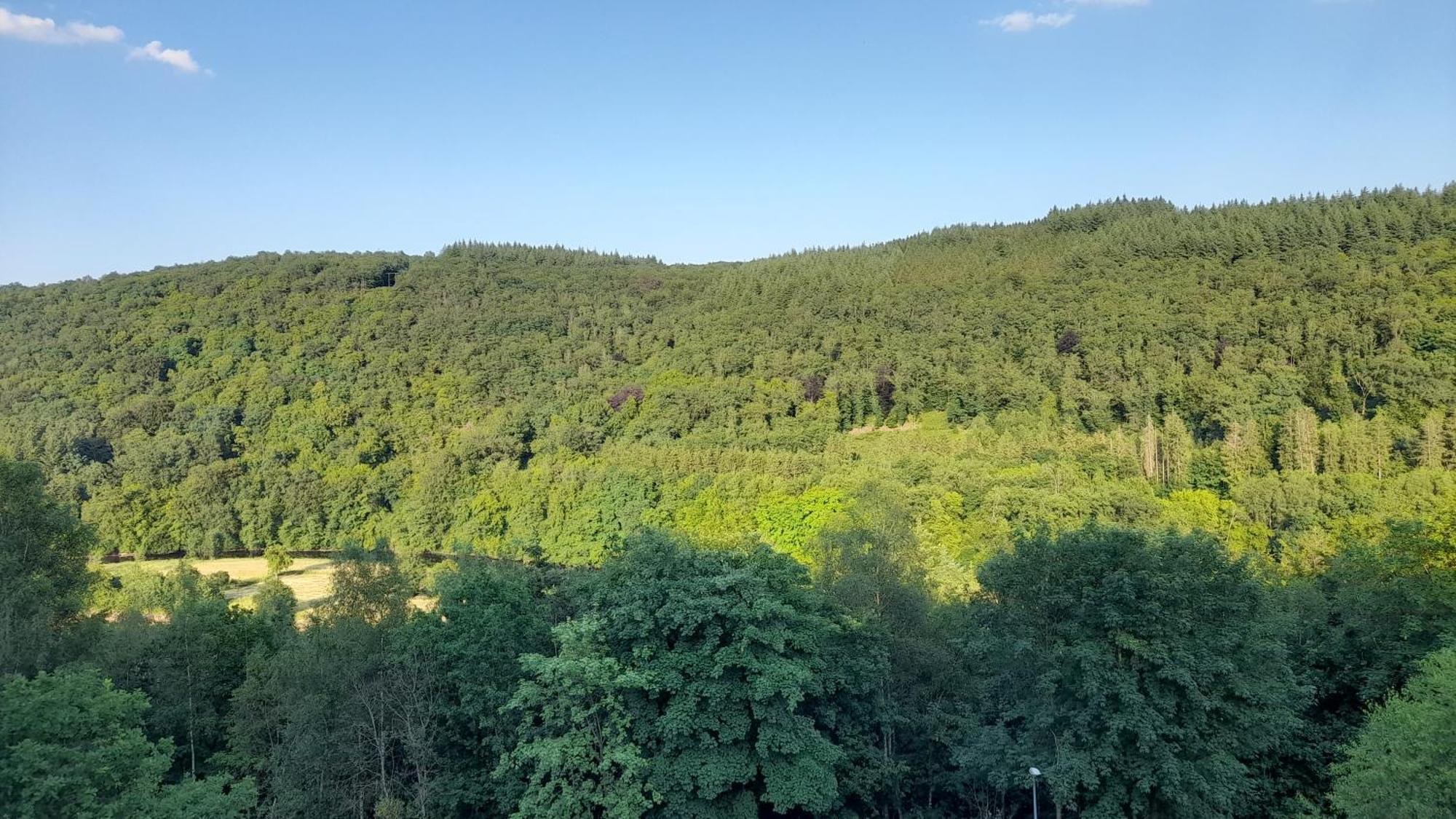 Appartement Le Sentier Des Lavandes Vresse-sur-Semois