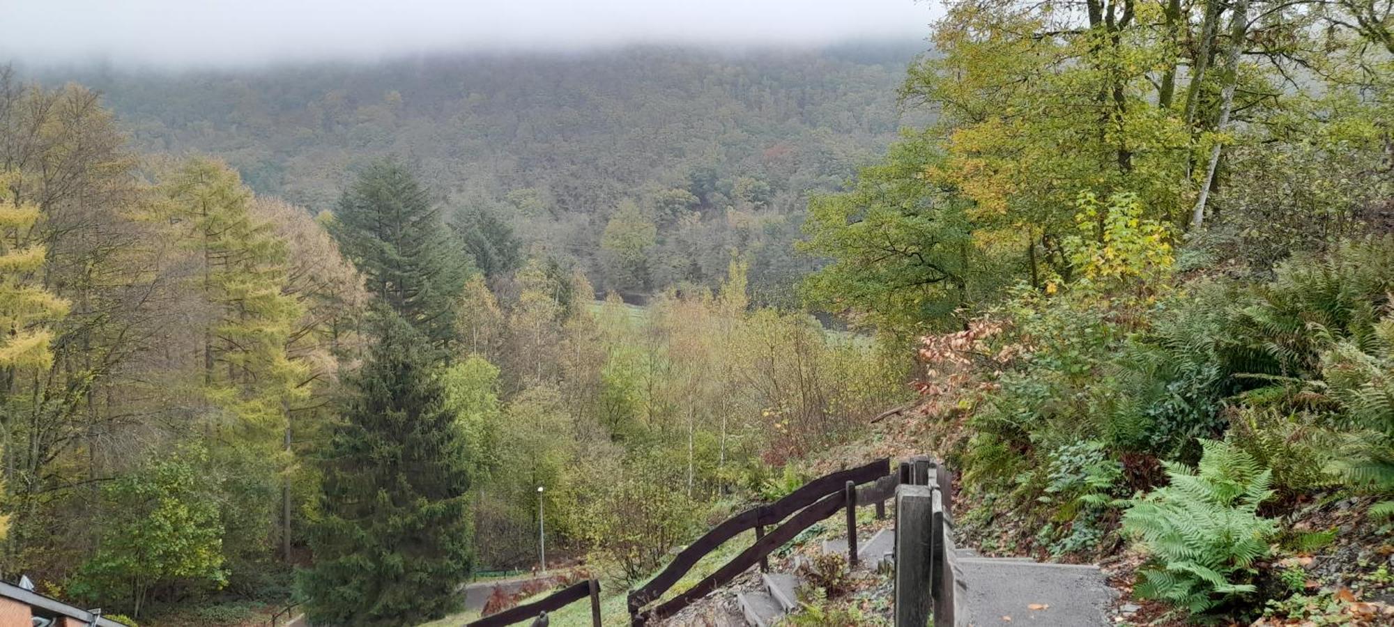 Le Sentier Des Lavandes Vresse-sur-Semois