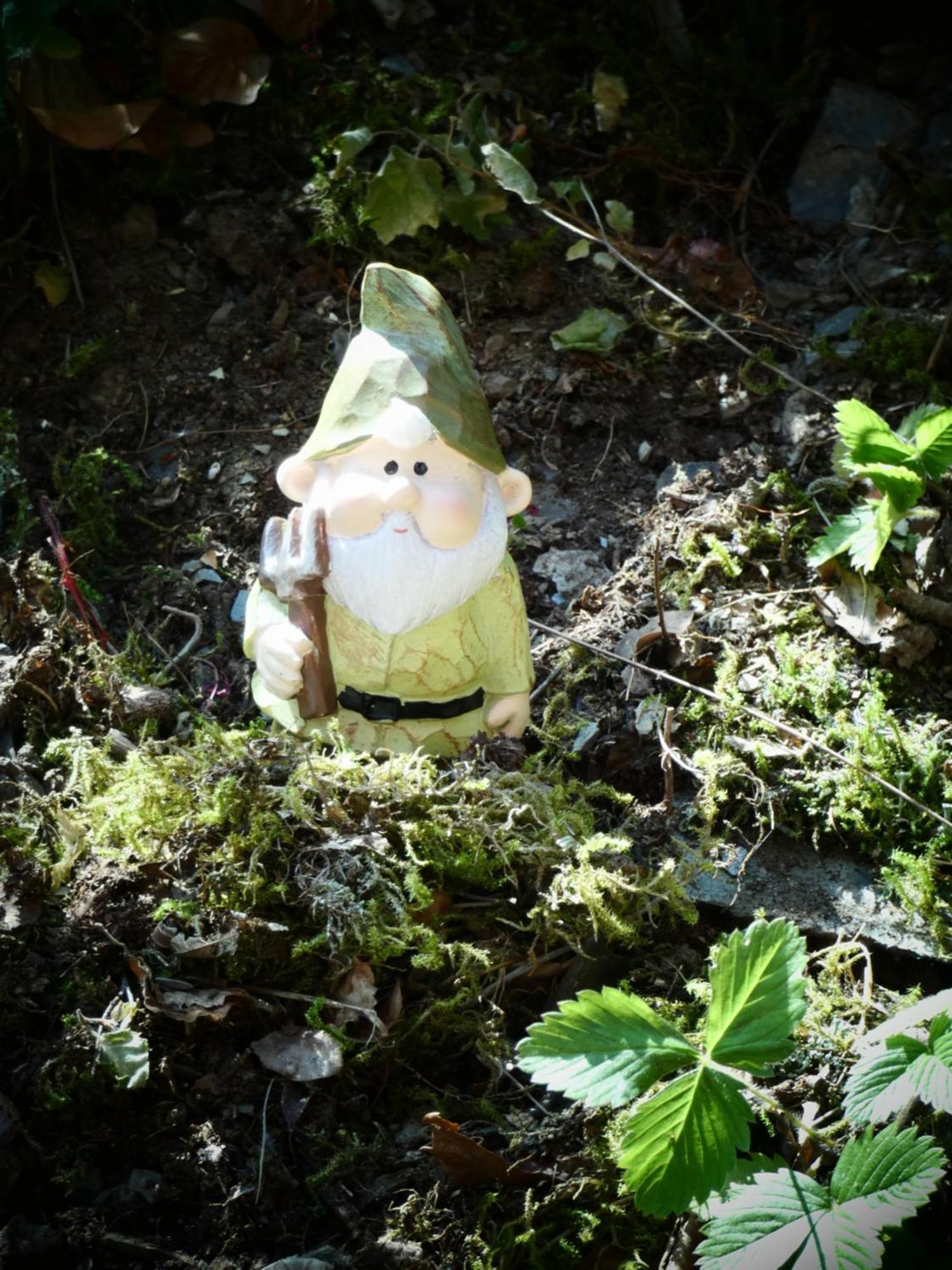 Le Sentier Des Lavandes *
