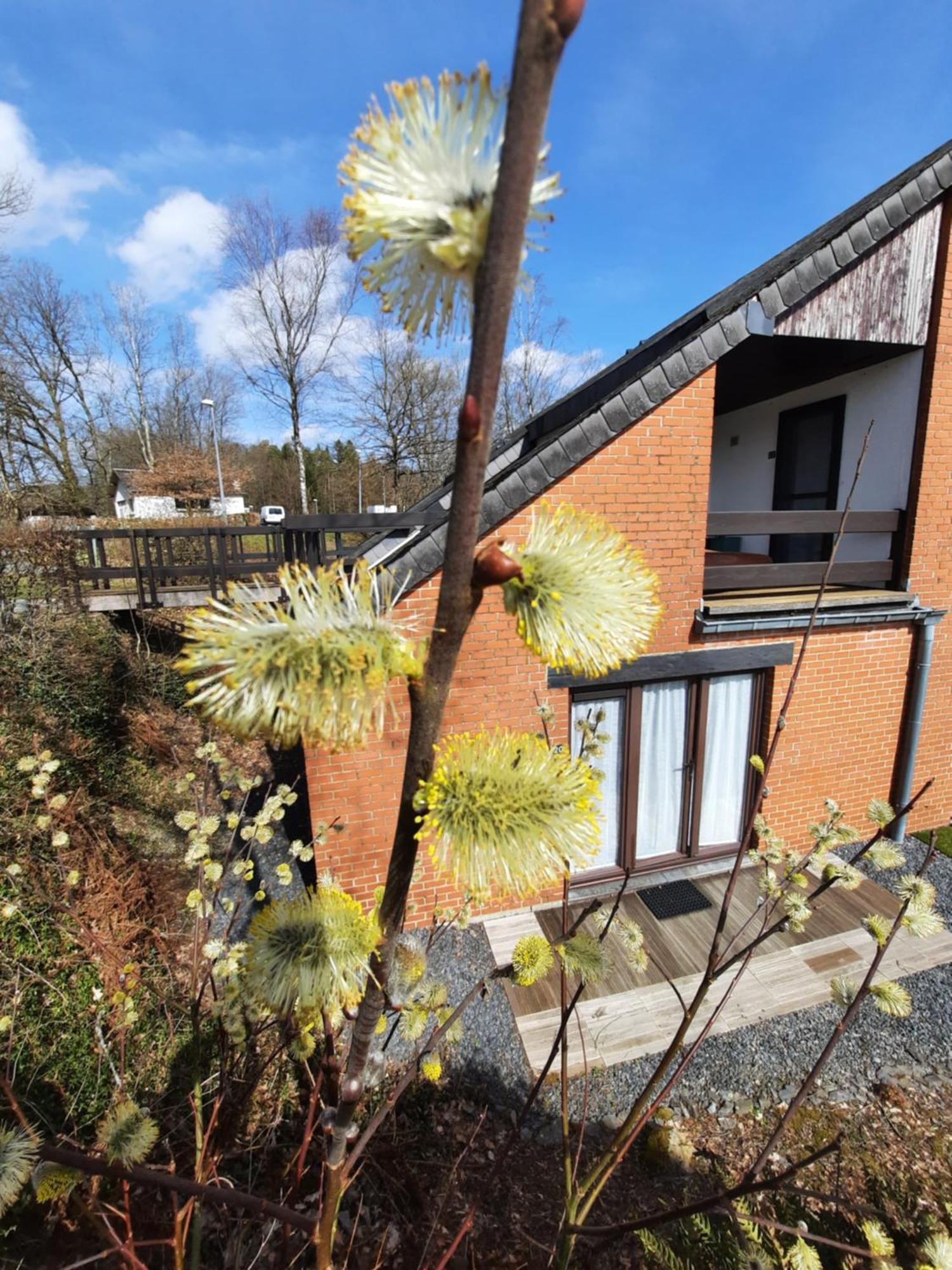 Le Sentier Des Lavandes Appartement